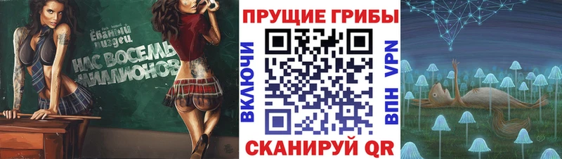 магазин    Ачинск  Псилоцибиновые грибы ЛСД 
